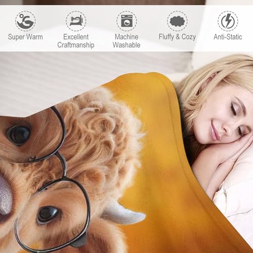 Couverture vache chaude et douce en flannel lavable de qualité supérieure - 6