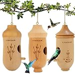 Birdhouses Hummingbirds