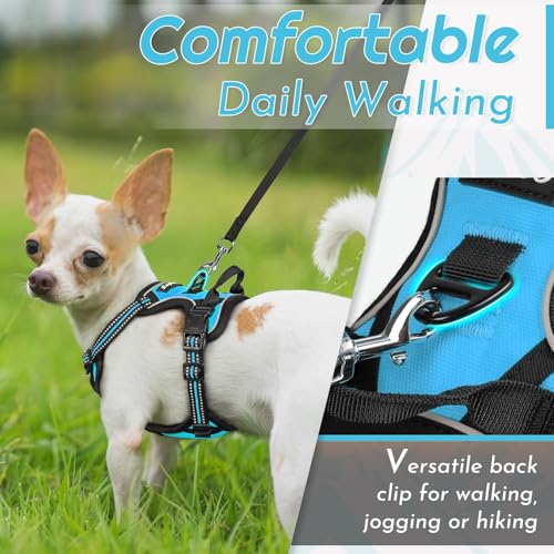 Image of Eagloo Dog Harness for Small Dogs, No Pull Pet Vest with 2 Leash Clips