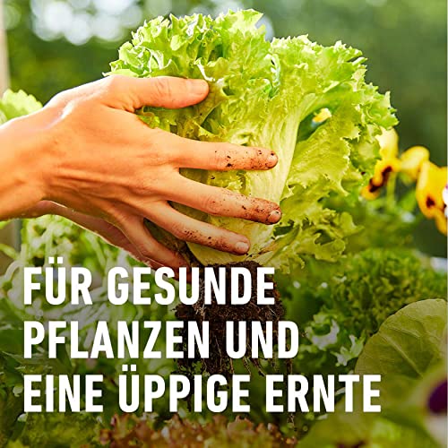 Schafwolldünger Compo Bio Universal Langzeit-Dünger