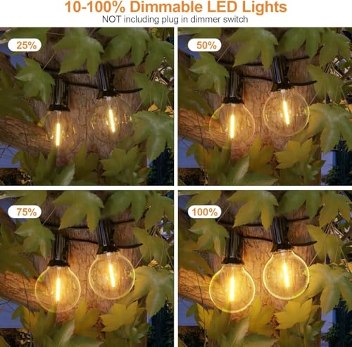 LED Lichterkette Außen, GPATIO 30M Lichterkette außen strom mit 50+2 Stk. Warmweiße G40 Glühbirnen Plastik, IP45 Wasserdicht Innen/ Außen Lichterketten für Garten, Terrasse, Hochzeiten, Partys 6