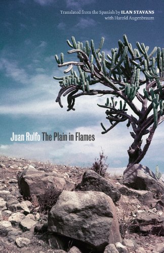 The Plain in Flames (Joe R. and Teresa Lozano Long Series in Latin American and Latino Art and Cultu The Plain in Flames (Joe R. and Teresa Lozano Long Series in Latin American and Latino Art and Cultu