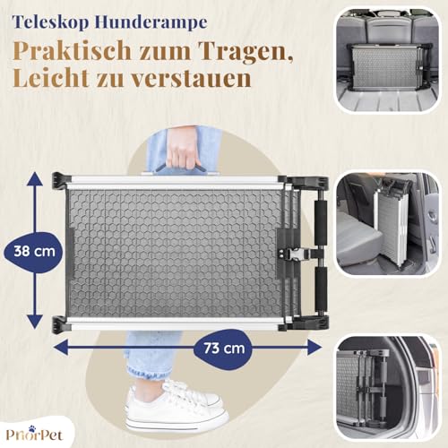 Hunderampe Auto Klappbar- Teleskop Alu Rampe für große Hunde - Stabile Hundetreppe Auto & SUV - rutschfest - Reflektierende Seiten - Hundeleiter Auto - 90kg Belastbarkeit - Befestigungsclip - Grau