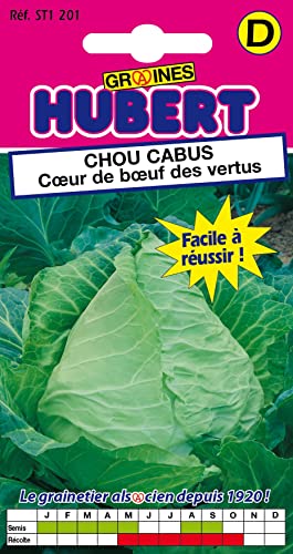 Graines de Chou Cabus Coeur de Boeuf des Vertus - 2 grammes