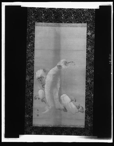 HistoricalFindings Photo: White Monkeys,Animals,Okio Maruyama,Detroit Publishing Company,Co,1900