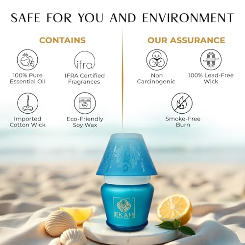 Image of EKAM Scented Frost Glass Lampshade Candle | Ocean Dream Scented Candle | Luxury Fragrances| Ideal for Home Decor, Aromatherapy & Gifting | 22 Hours Burn time |114 g
