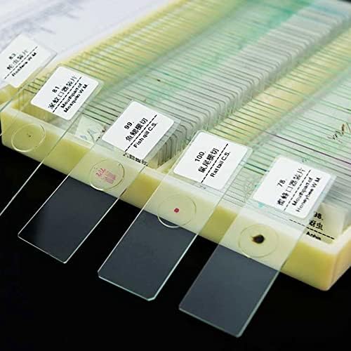 顕微鏡キット 生物学的100個のPCS調製ガラススライス顕微鏡スライド