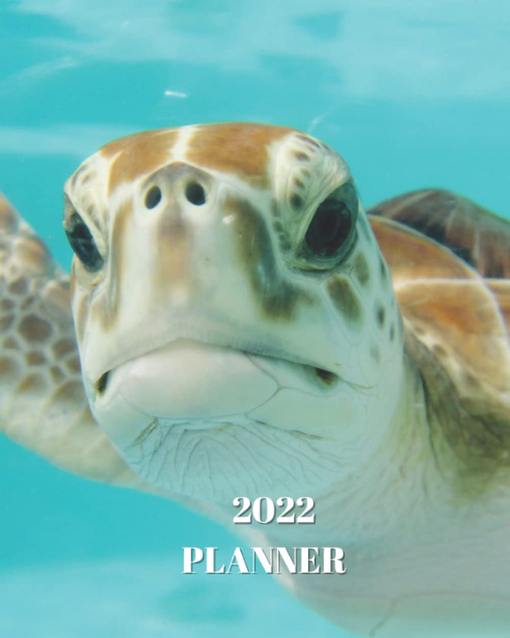 2022 Planner: Turtle in Mexico - Monthly Calendar with U.S./UK/ Canadian/Christian/Jewish/Muslim Holidays– Calendar in Review/Notes 8 x 10 in.-Nature Animals For Work Business School