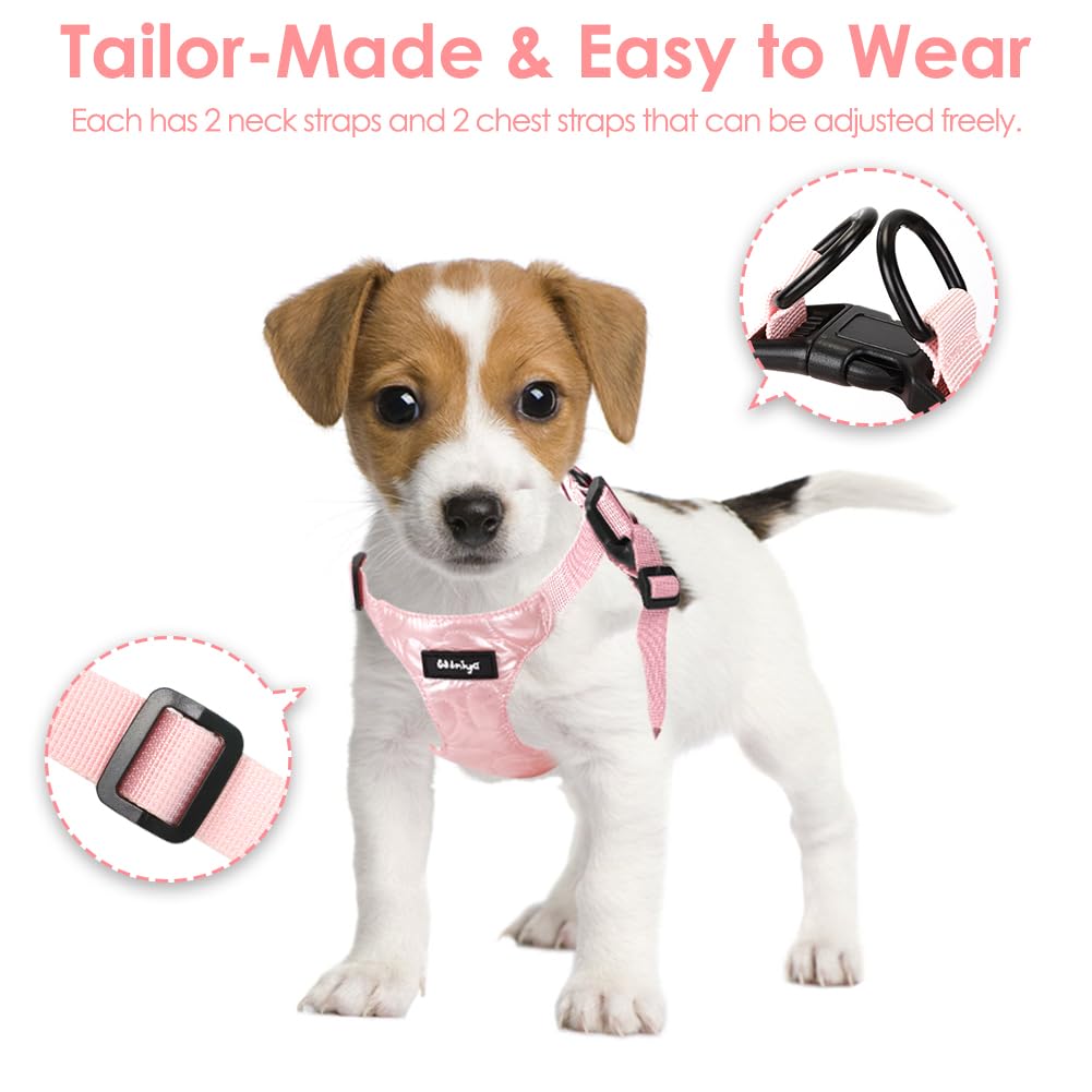Pettorina per Cani, Pettorina per Cani Taglia Piccola, Imbracatura per Cane, Pettorina Puppy Antifuga, Collar per Cani, Cani Accessori (S, Rose)
