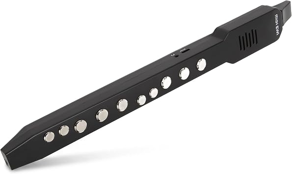 Digital Wind Instrument,HiFi Speaker MIDI Connection Electronic Wind Instrument,Multifunctional Buttons Electric Wind Instrument,with 12 Accompaniments Black
