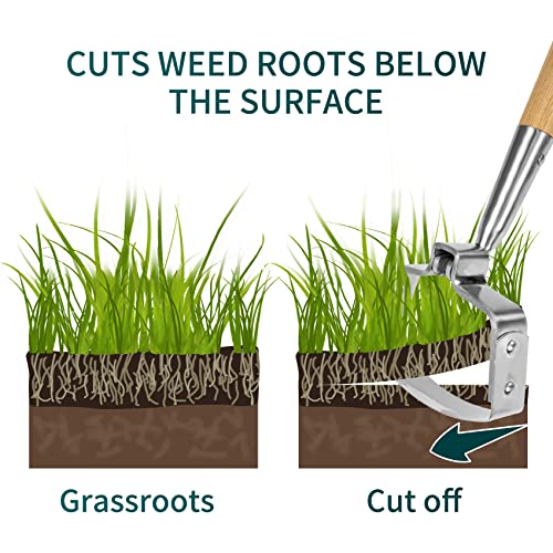 Berry&Bird Garden Weeder Hoe, 62.99’’ Stainless Steel Hula Hoe For Weeding, Action Stirrup Hoe For Gardening Loop Scuffle Hoe With Wooden Long Handle Hand Weeder Tool Push Pull Dutch Hoe Heavy Duty #TOP5