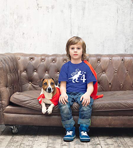 rawr im 4 Year Old boy Shirt Roar 4th Birthday Shirt boy Four Dinosaur Tshirt2