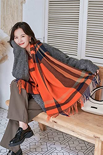 Alidamo Winter Scarf Cashmere Feel Wool Tassel Pashmina Shawl Soft Scarves Tie-dyed& Plaid Solid Colors4