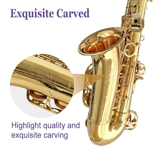 Image of Alto Saxophone E Flat for Adults Student Sax Eb Alto Full Kit With Carrying Sax Case Mouthpiece Straps Reeds Saxophone Beginner Kit