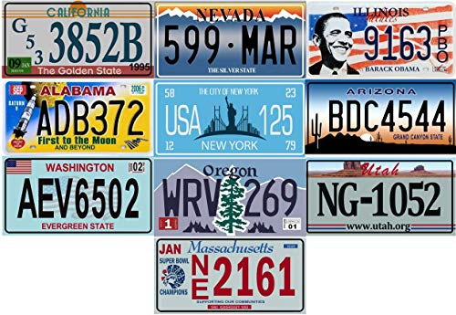 - Set mit 10 Metall USA Auto LIZENZPLATTEN - Repliken von echten amerikanischen Platten (Fabbri LF3)