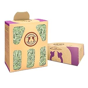 GuineaDad Orchard Hay Box – 3 Pack Guinea Pig Food – Cage-Mounted Feeding System – Orchard Hay for Guinea Pigs, Rabbits & Small Animals – 100% Recyclable & Biodegradable