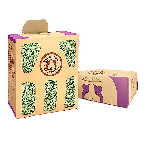 GuineaDad Orchard Hay Box 3 Pack Guinea Pig Food Cage-Mounted Feeding System Orchard Hay for Guinea Pigs Rabbits & Small Animals 100% Recyclable & Biodegradable