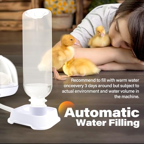 12 Egg Incubators for Hatching Eggs | with Auto Egg Turner, Temp & Humidity Control | 360° Viewing for Chicken, Duck, Quail Eggs | Ideal for Farm, School, Home - Image 6