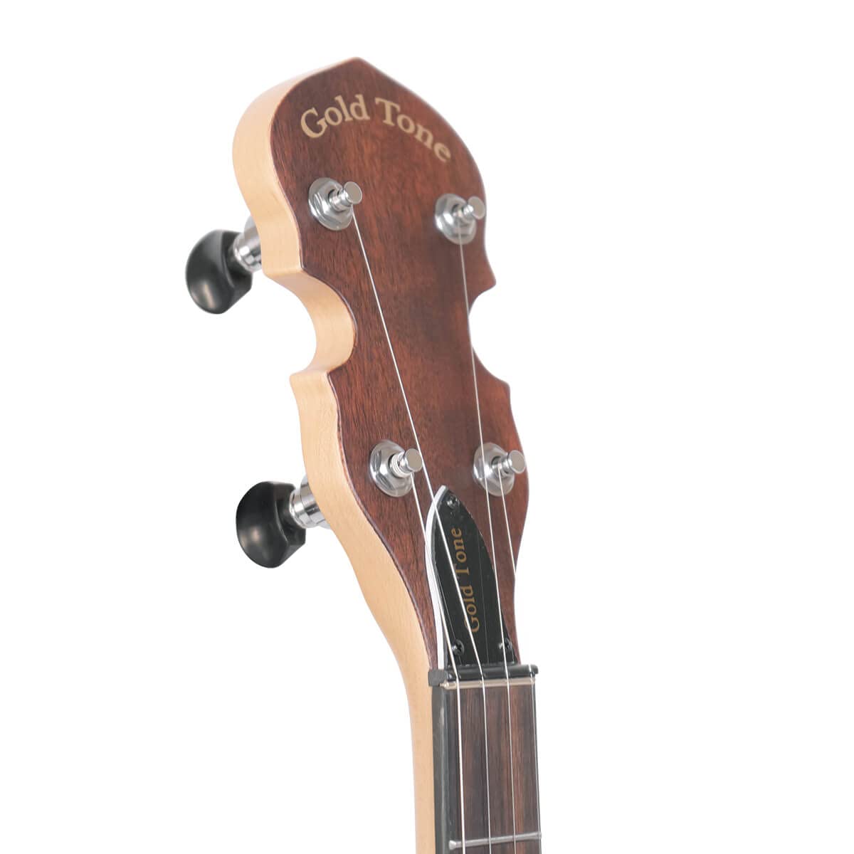 Banjo elettrico a 5 corde con borsa