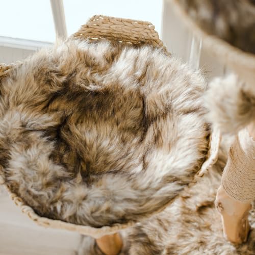 Image of Mau - Modern Cat Tree Tower, Real Branch Wood Condo for Large Cats