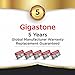 GIGASTONE Micro SD Card 32GB 2-Pack, Camera Plus, MicroSDHC Memory Card for Wyze Cam, Security, Roku, Full HD Video Recording, UHS-I U1 A1 Class 10, up to 90MB/s, with Adapter