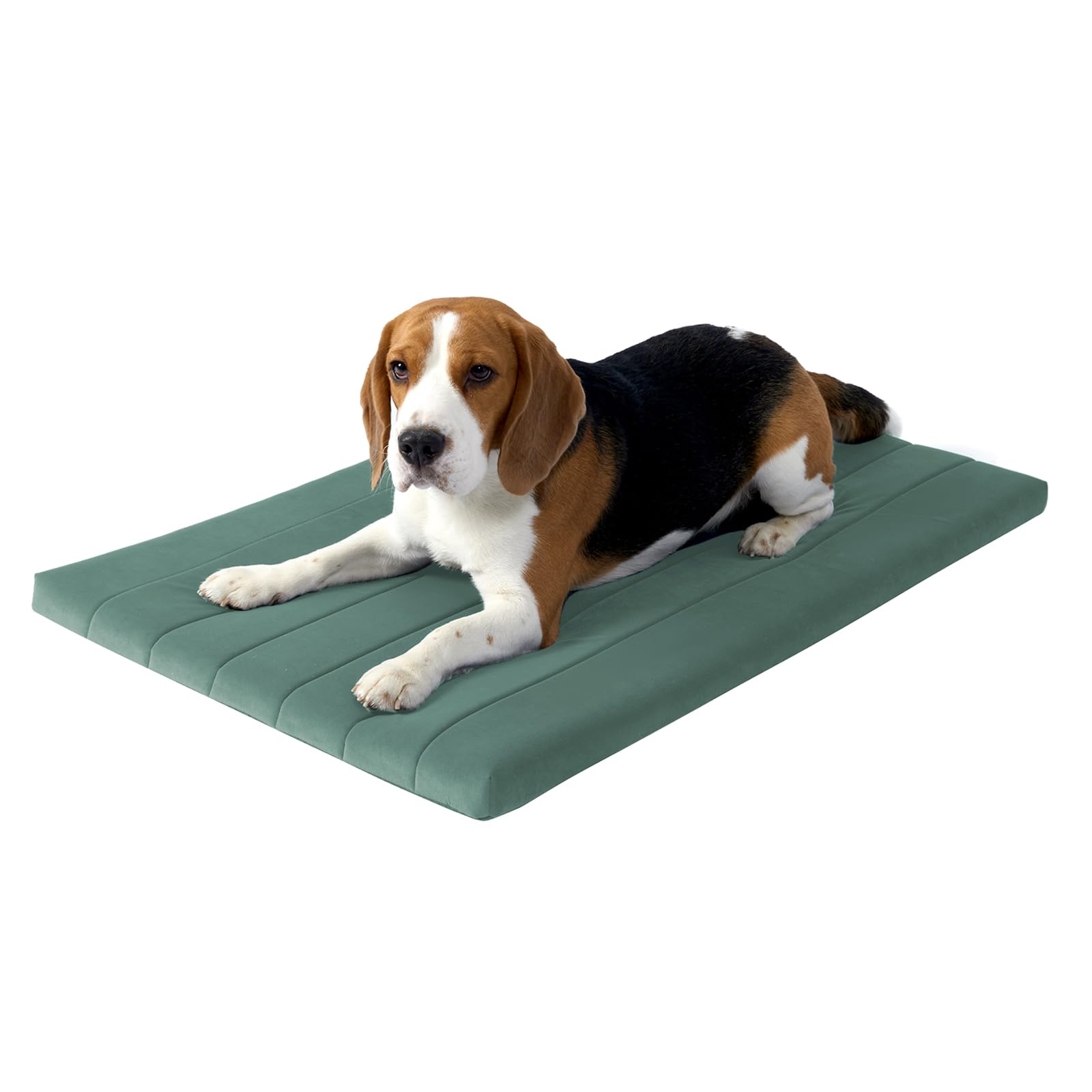 BALANCE Dog Crate Bed, Orthopedic Dog Bed Pad with Waterproof Liner, Washable Crate Foam Pet Mat for Large, Medium, Puppy Dogs Breeds, Mint Leaf, 36“