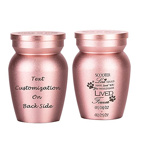 Fanery Sue Personalized Small Urns for Human Ashes,Mini Urns for Ashes Small Urn for Ashes Keepsake,Customized Quote (Rose Gold Paw PrintXS)