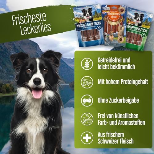 DeliBest Premium Pferdefleisch Sticks I Hundeleckerli mit wertvollen Inhaltsstoffen ist leicht verdaulich I kalt geformt - sehr schmackhafter Hunde Snack aus frischem Fleisch
