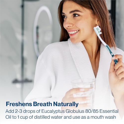 Aceite esencial Eucalipto Globulus 128 Fl Oz natural miniatura 4