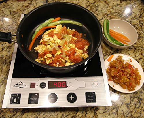 Pilot Portable Induction Indoor Outdoors Counter Top Stove & Hot Plate