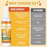 Cat Repellent Spray, Cat Deterrent Spray - Indoor & Outdoor Training Safe Cat Training Spray, Protect Furniture, Sofas, Rugs, Restricted Areas-for Behavior, Natural, Effective - Orange Pack - Image 4