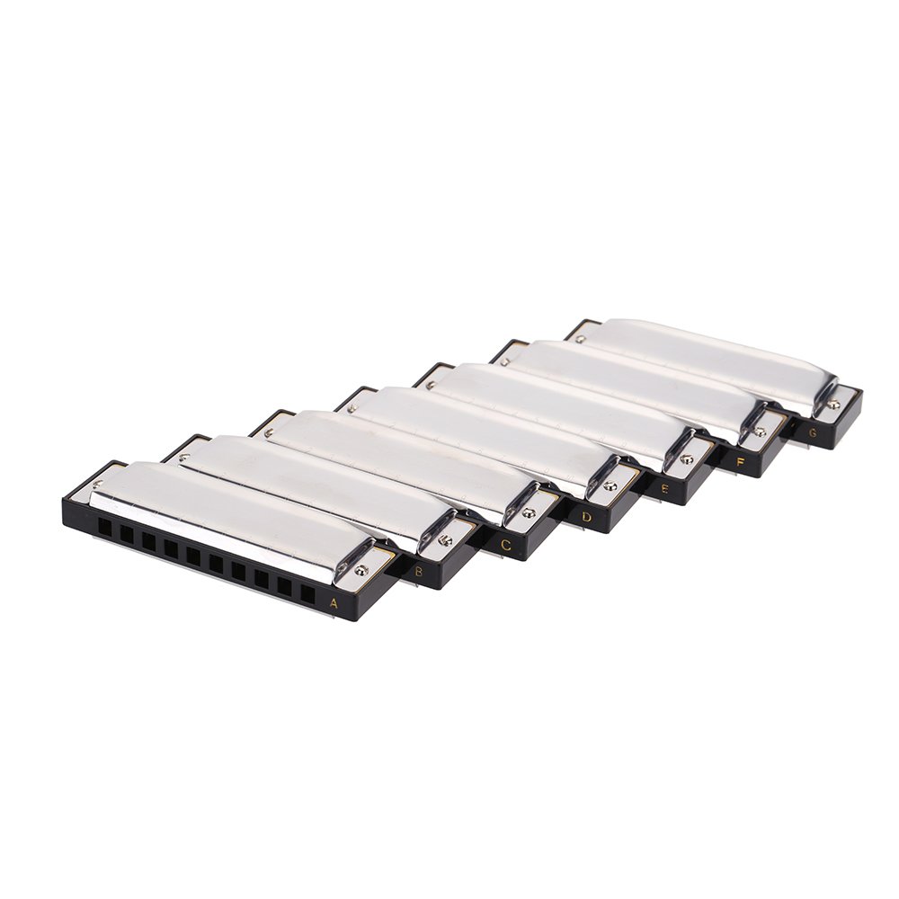 Harmonica 10 trous Harmonica diatonique 10 trous (A-G) avec boîte exquise + lingettes