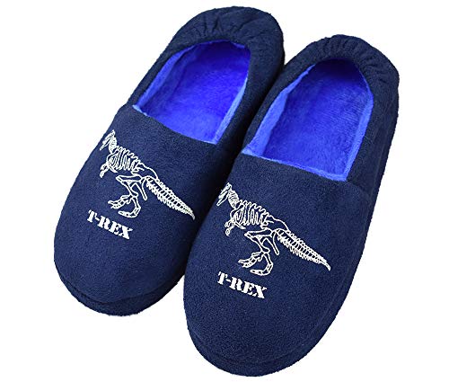 Big Kids Boy's Warm Plush House Slippers with Soft Memory Foam Slip-on Shoes Size 3-4 US Dinosaur Blue