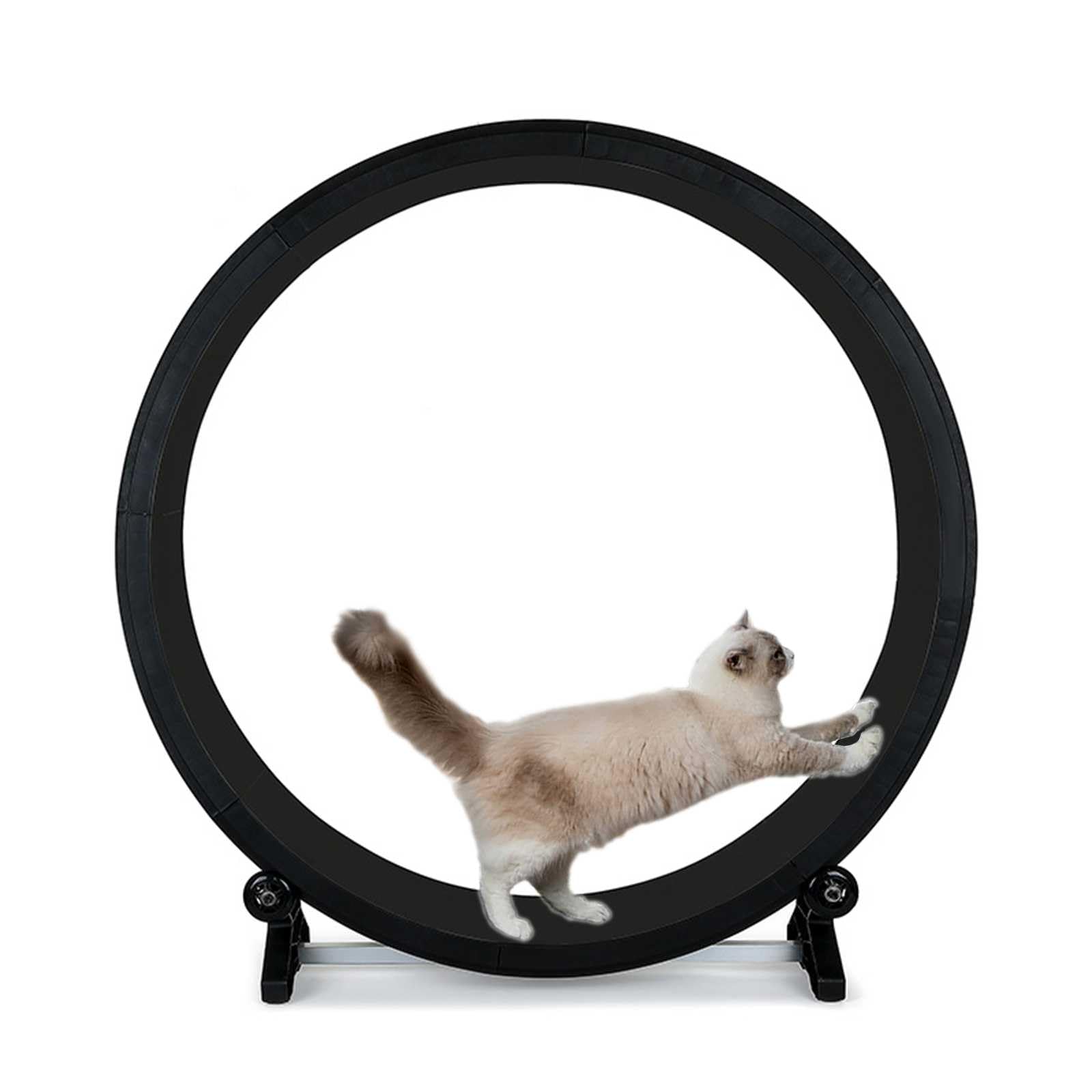 Amazon | キャットホイール 猫 キャットウォーク 回し車 猫 ホイール 
