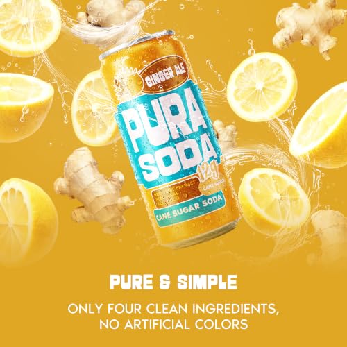 Image of PuraSoda Ginger Ale - 12g Pure Cane Sugar Soda, 10 Fl Oz, Pack of 12 | Real Ginger Extract, Non-Gmo Vegan, No Stevia Or Artificial Sweeteners, 12g Cane Sugar, 10 Fl Oz Cans