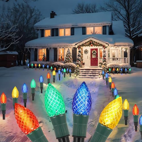 40 LED C9 Christmas Lights Outdoor, 23FT 2-in-1 C9 Christmas