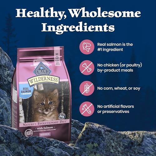 Image of Blue Buffalo Wilderness High-Protein & Grain-Free Dry Food for Kittens, Natural Ingredients with DHA for Cognitive Development, Salmon Recipe, 5lb Bag