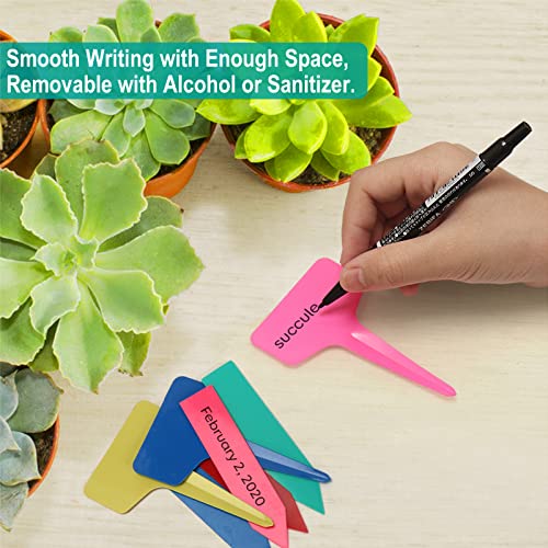 200 Pcs Plastic Plant Labels, 4 Inch Waterproof Plant Tags And Labels For Seedlings, Plant Name Markers For Indoor Plants&Pots, Nursery Garden Plant Identification Stakes - Green #TOP2
