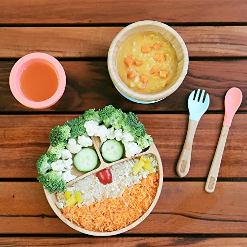 Fisher-Price Prato Redondo Com Divisórias E Ventosa Bam N' Boo 6+M Rosa Fisher Price - Bb1171