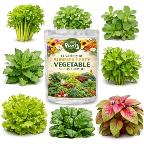 Image of 12 Variety Summer Leafy Veg Seeds Combo Pack | High Germination Non-GMO Organic Seeds for Home Gardening | Spinach, Lettuce, Kale & More | Balcony, Terrace & Kitchen Garden Kit