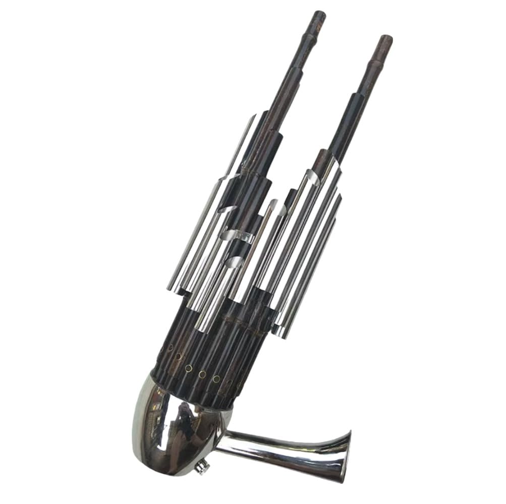 Sheng 17 anches avec tube amplificateur instrument à vent chinois