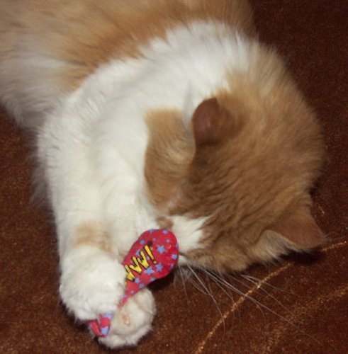 3X Yeowww 100% Organic Catnip Stinkies Sardines #TOP1