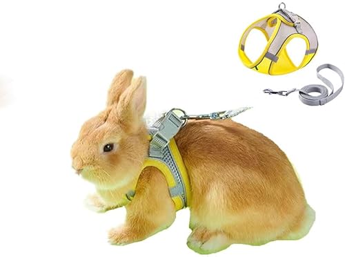 AttRex ETM L q n[lX [h \ [v  Oɂ ʋC ȒP qh~ ^s XgX U ł pi (XS,CG[)