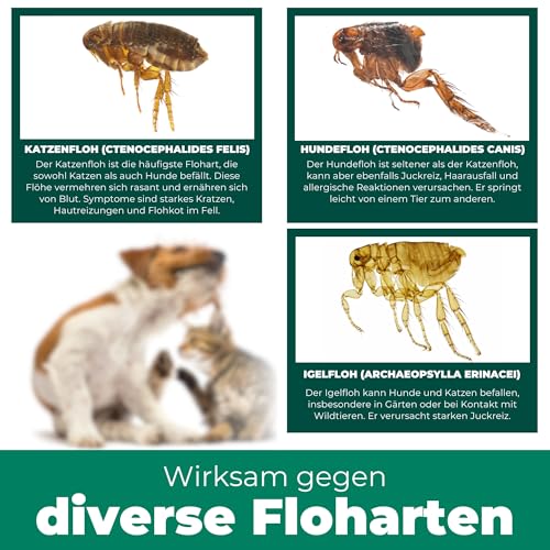 Silberkraft Flohmittel, Floh-Spray 500 ml - Flohspray für Hund, Katze und andere Haustiere - Umgebungsspray - ideales Anti-Floh-Mittel gegen Flöhe, Zecken, Parasiten, Ungeziefer