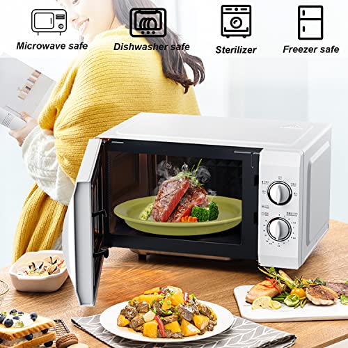 Csyy 2 Pack Dinner Plates, 8 Inch Avocado Green Porcelain Salad Plates Round Ceramic Serving Dining Plate Set Of 2 For Dinner Pasta Fruit Salad #TOP3