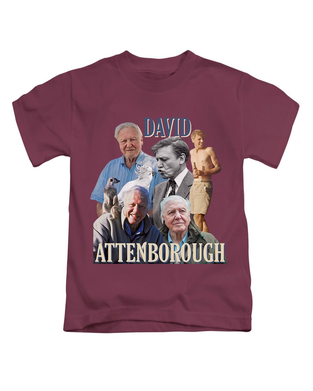 New Spirit Original Unisex Maroon David Attenborough Tee T-Shirt Funny T Shirt Top