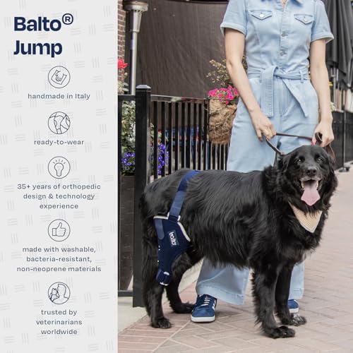 Image of Balto Jump Dog Knee Brace - Orthopedic ACL /CCL Support for Dogs - Adjustable Leg Stabilizer for Joint Pain, Injury Recovery & Arthritis - Vet-Approved Canine Knee Support (Small, Left Leg)