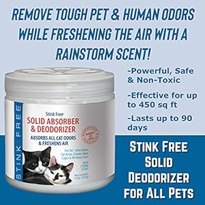 Cat Solid Freshener, Absorber & Deodorizer – Room Purifier, Bathroom Odor Eliminator, Basement, Bedroom, House, Office etc. 15 oz. Rainstorm Fragrance