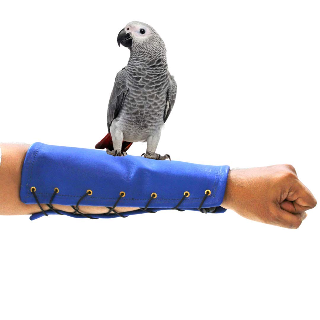 TAIYO PLUSS DISCOVERY® BIRDS HANDLING - ANTI-SCRATCH /BITE ARM GLOVE - scratch proof ,bite Proof, Birds Anti-bite Scratch Protection Long Glove,Thick & Safe/Durable, Breathable,for Handling Exotic & Large Bird (B08QJH5Q34) Amazon Price History, Amazon Price Tracker
