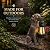 Fashionoda Garden Statue Dog Figurine Decor – Outdoor Decoration with Solar Lantern for Garden Yard Lawn Home Decor Outside : Fathers Day Memorial Gifts